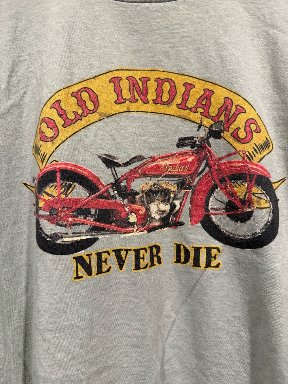 Vintage-Inspired Old Indians Never Die Graphic biking motorcycle tee fits Large - Picture 3 of 5